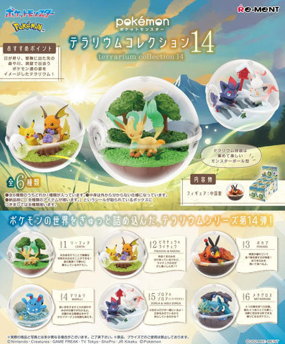 Terrarium Collection 14 Complete Case